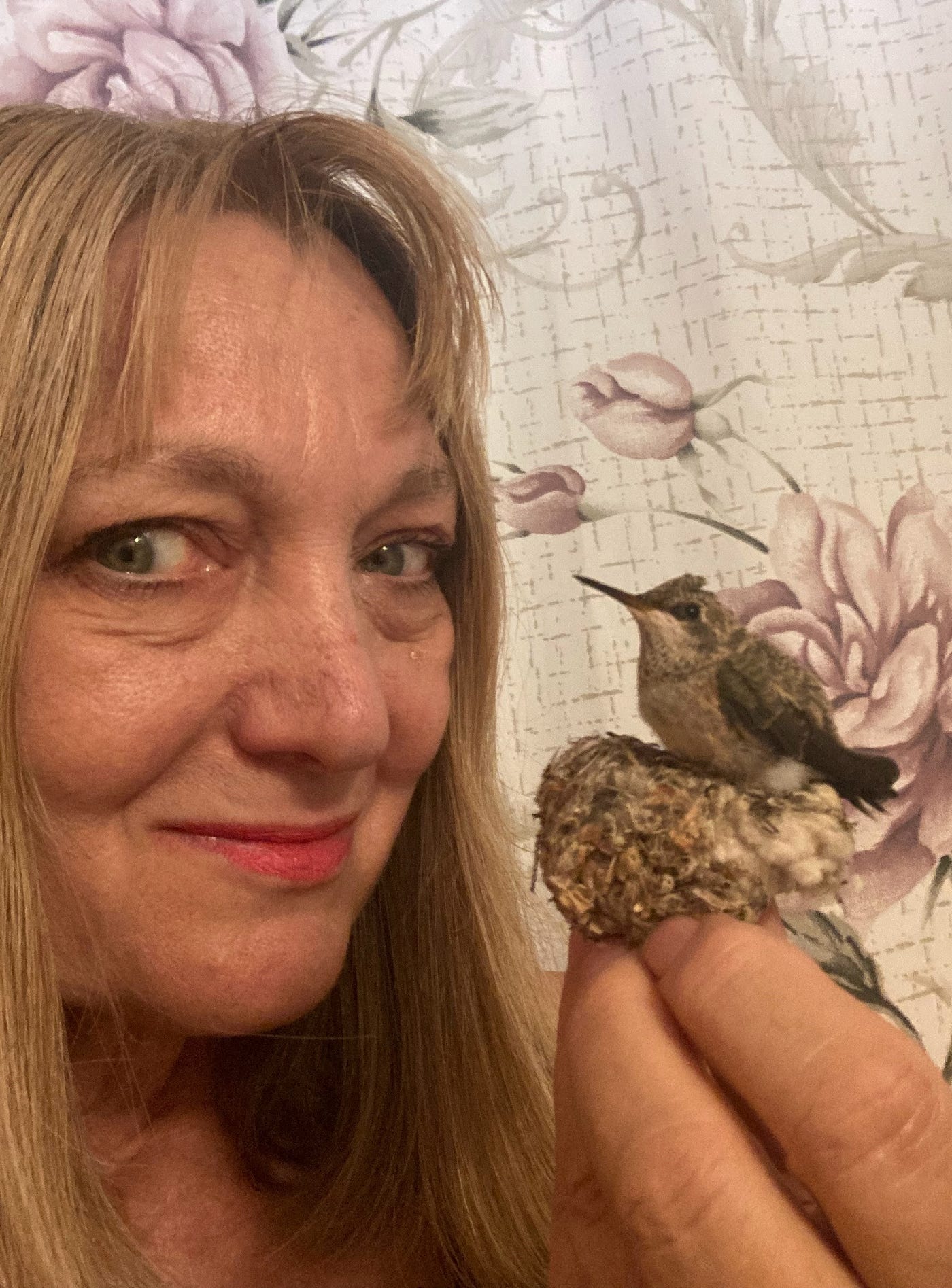 Mmmmm… A hummingbird on a Keebler Nest Cracker — yummy! Photo by the author.
