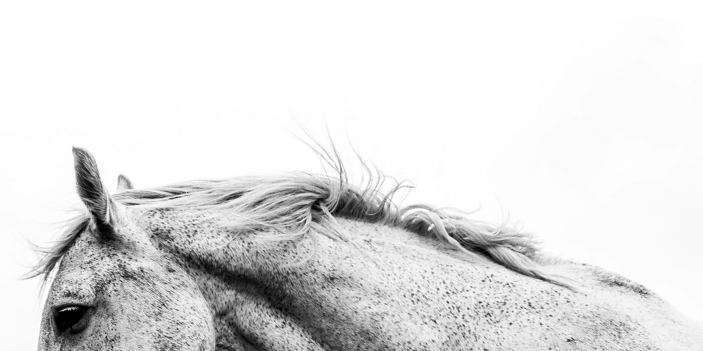 Photo by Avi Theret on Unsplash