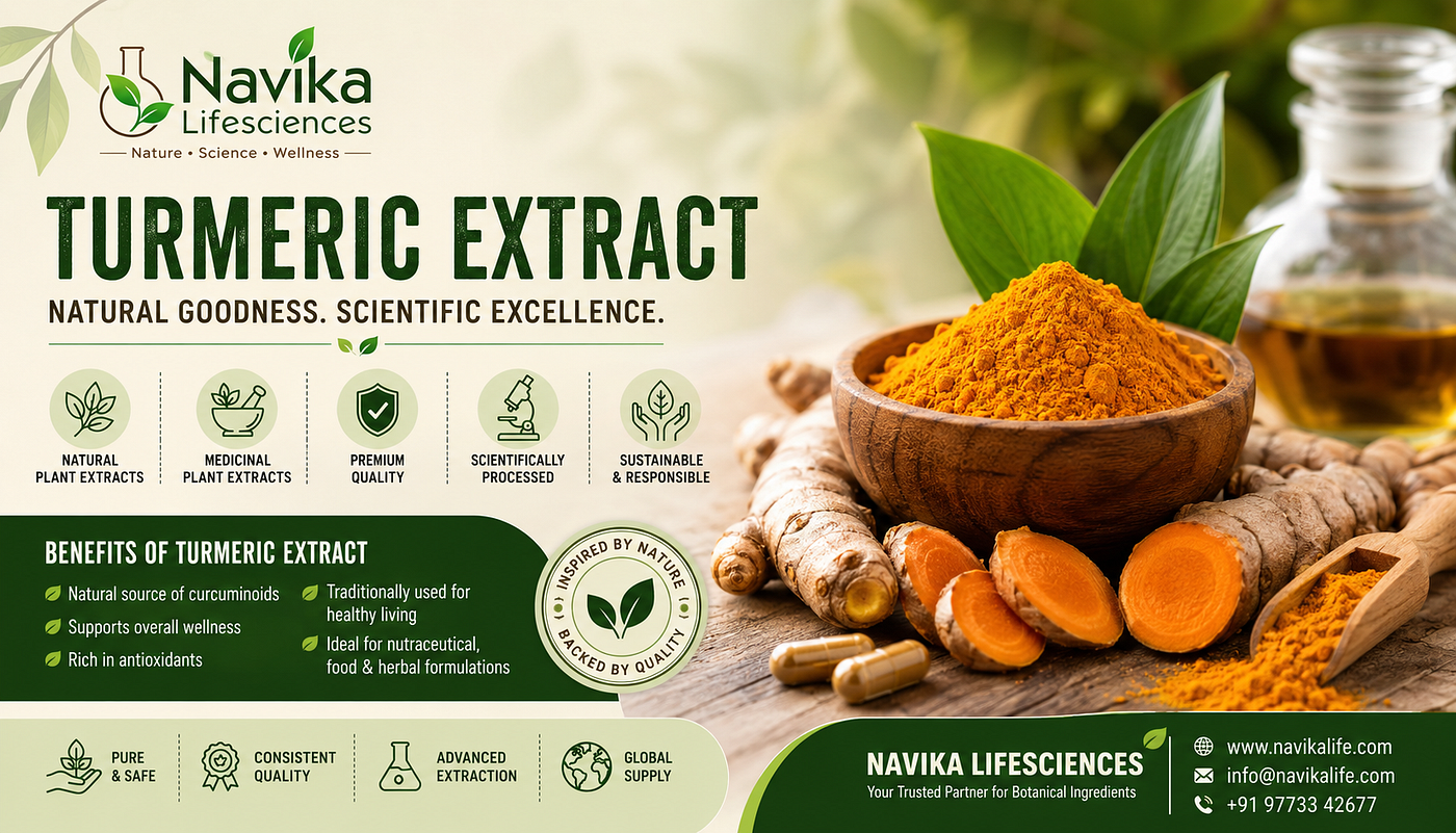 Turmeric Extract: Benefits, Applications, and Botanical Ingredient Quality