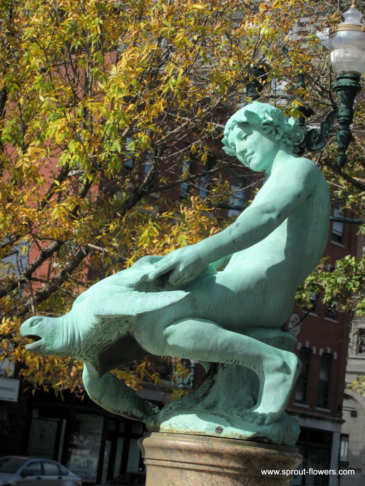 Turtle Fucker. Sometimes you're the boy, and sometimes… | by Heather Starr  | Medium