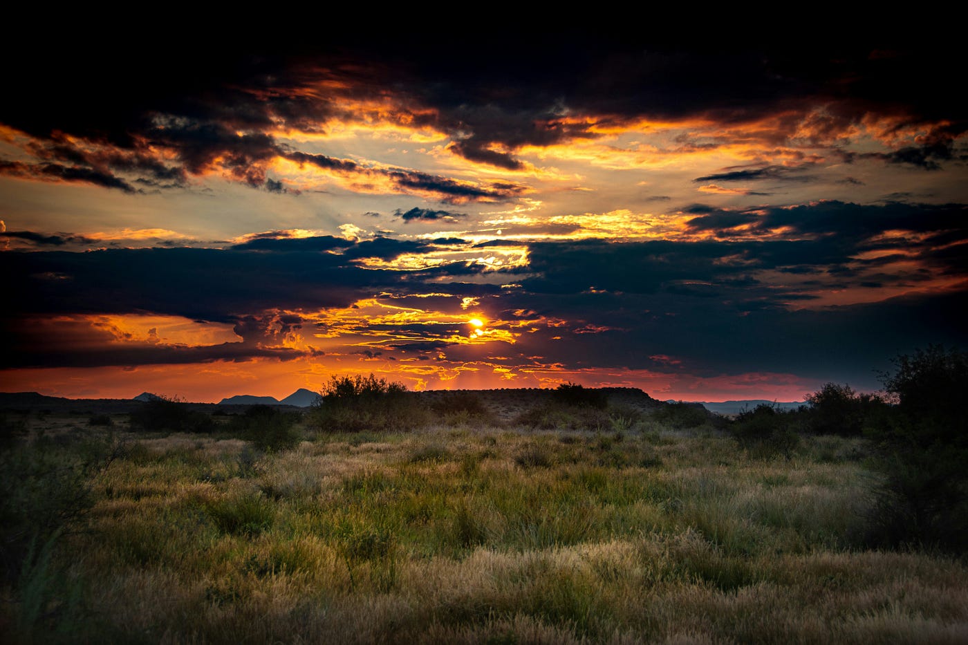 Photo by Matt van Binsbergen on Unsplash