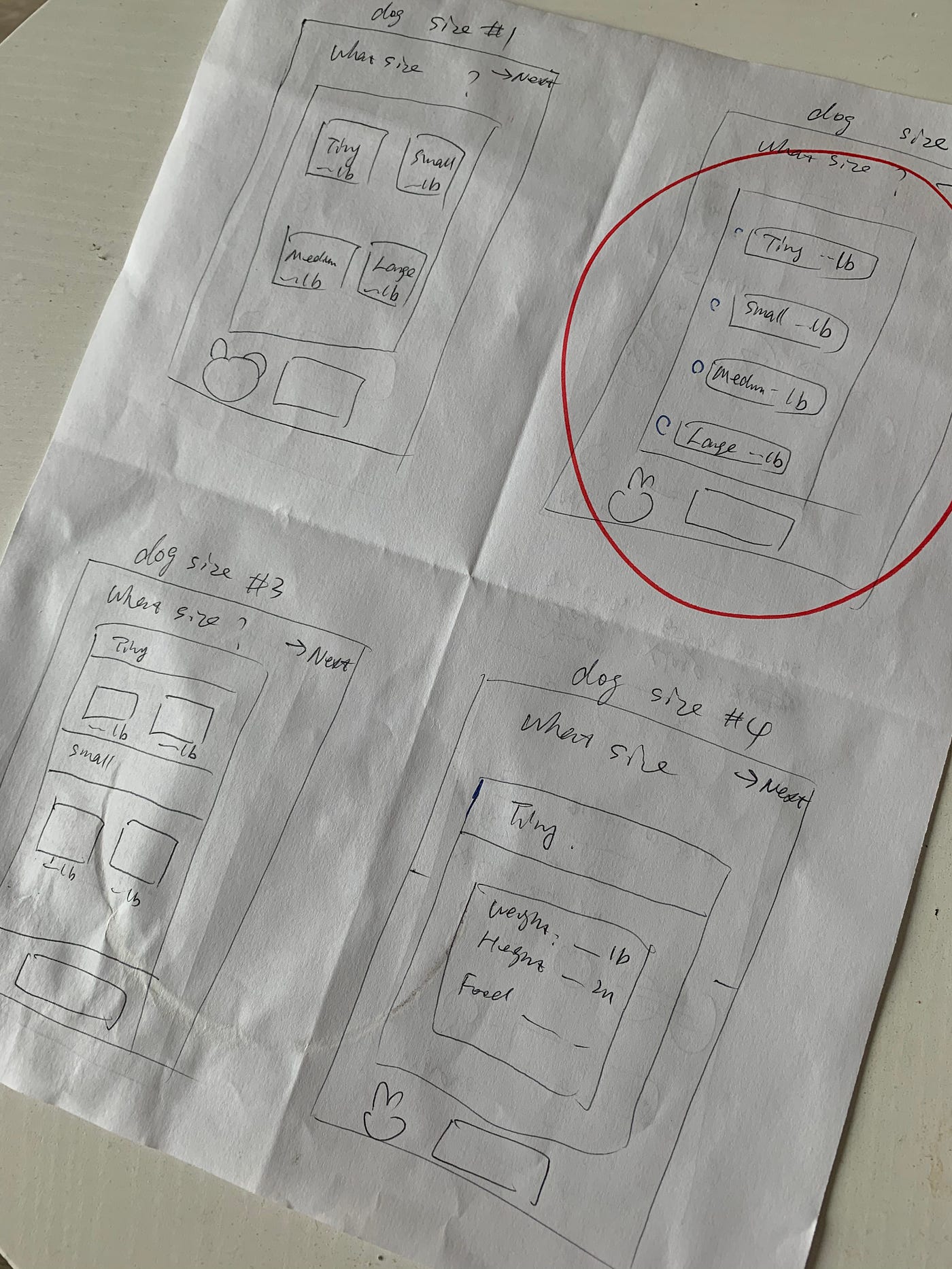 Rapid Sketch What is it all about