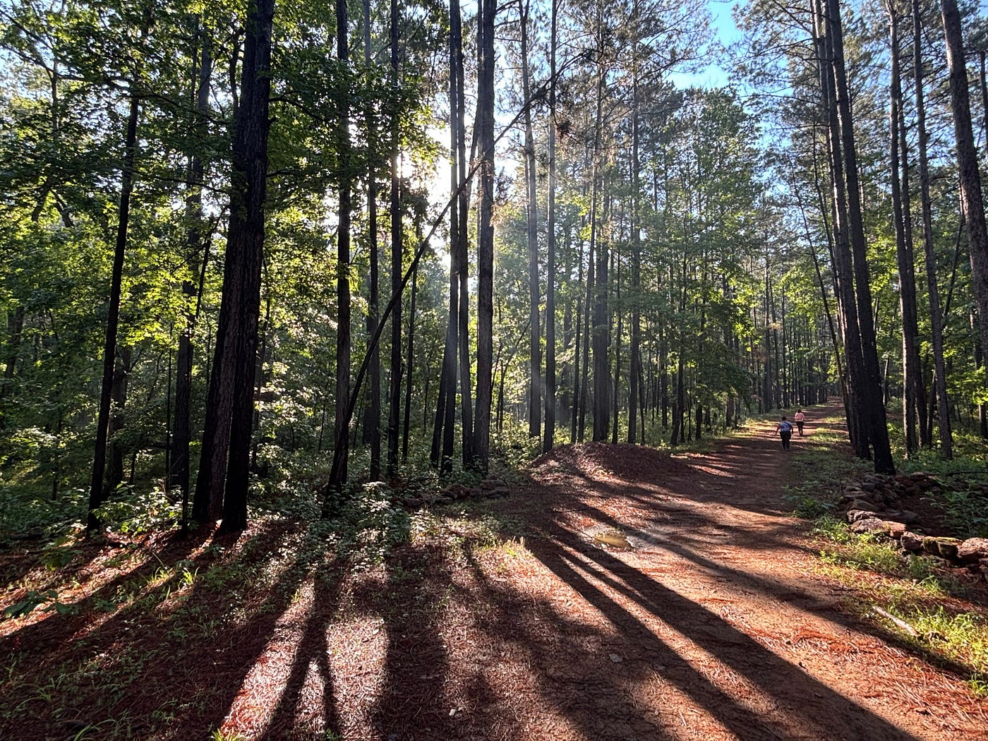 I Somehow Survived a 5K in the Woods