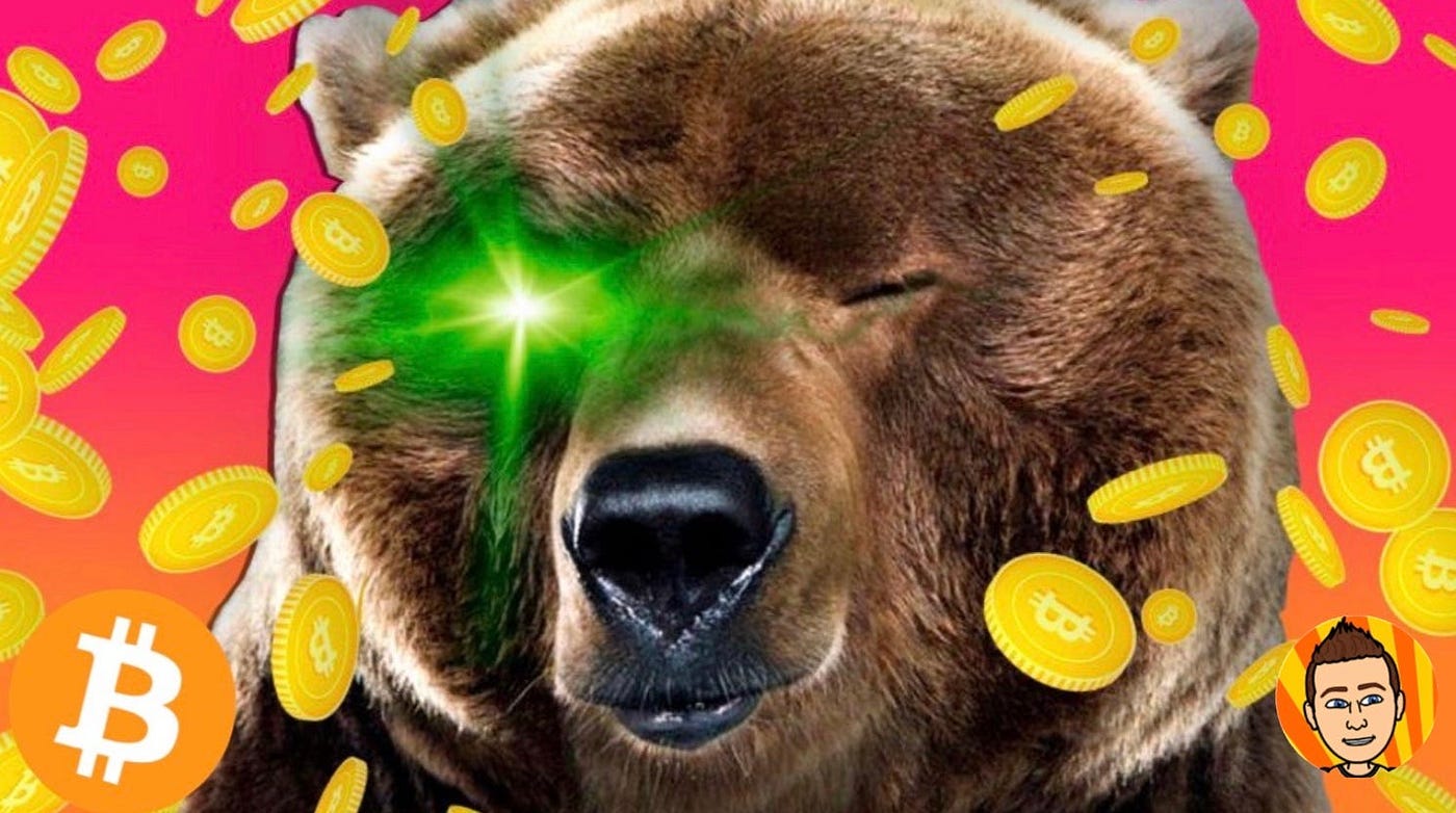 This Crypto Bear Market is Different | by Johnwege | Coinmonks | Medium