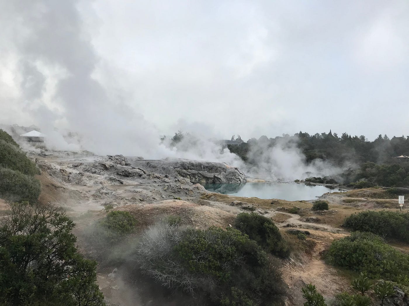 Hangi Cooking In Rotorua, New Zealand