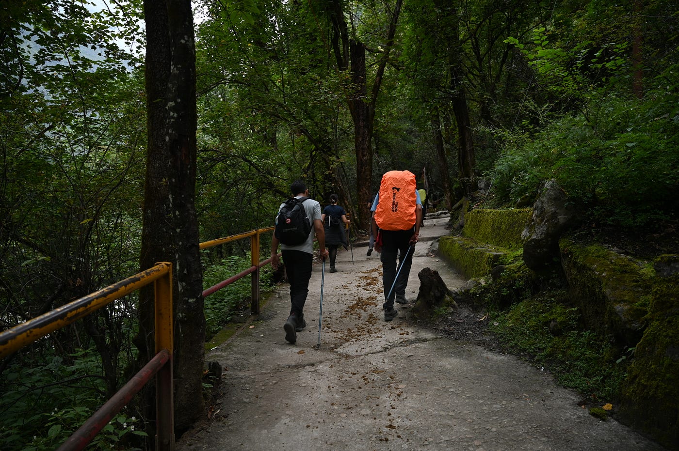 My Valley of Flowers Trek Experience with Trek The Himalayas (TTH)