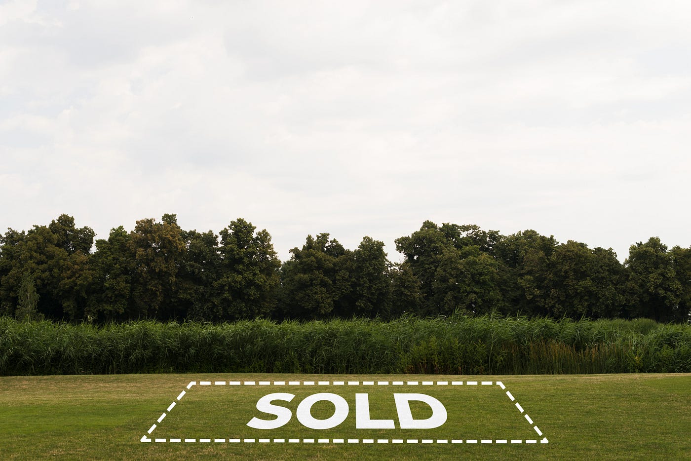 Solid Ground Sales: Should You Trust “We Buy Land” Firms?