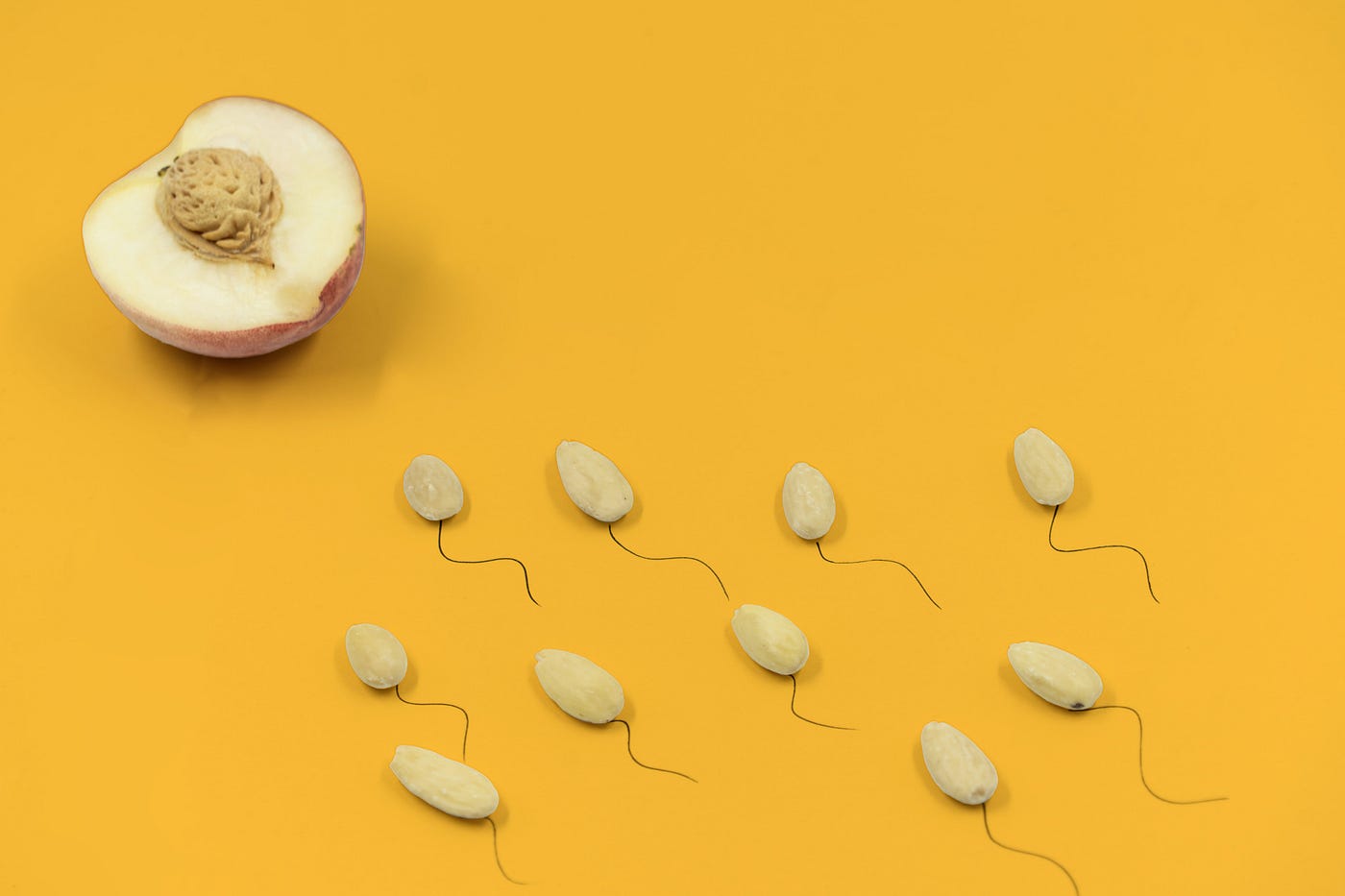 Egg Donor RequirementsEgg Donor Requirements: The Key to Helping Couples Build Families