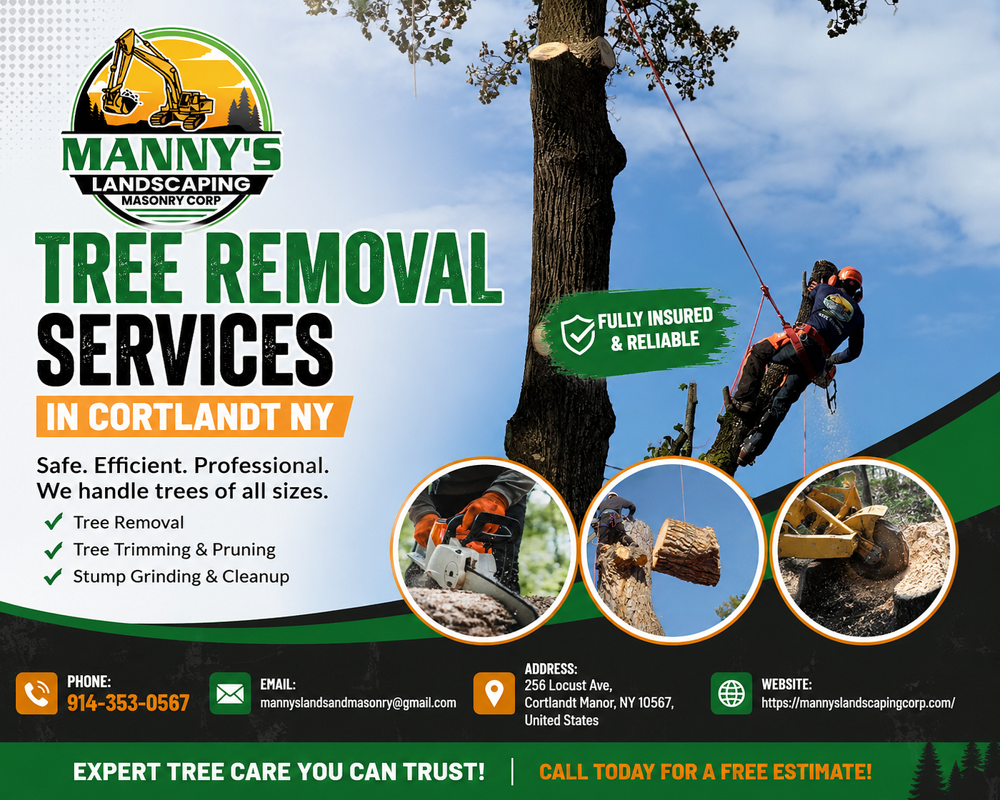Tree Removal Services in Cortlandt, NY: What Homeowners Need to Know