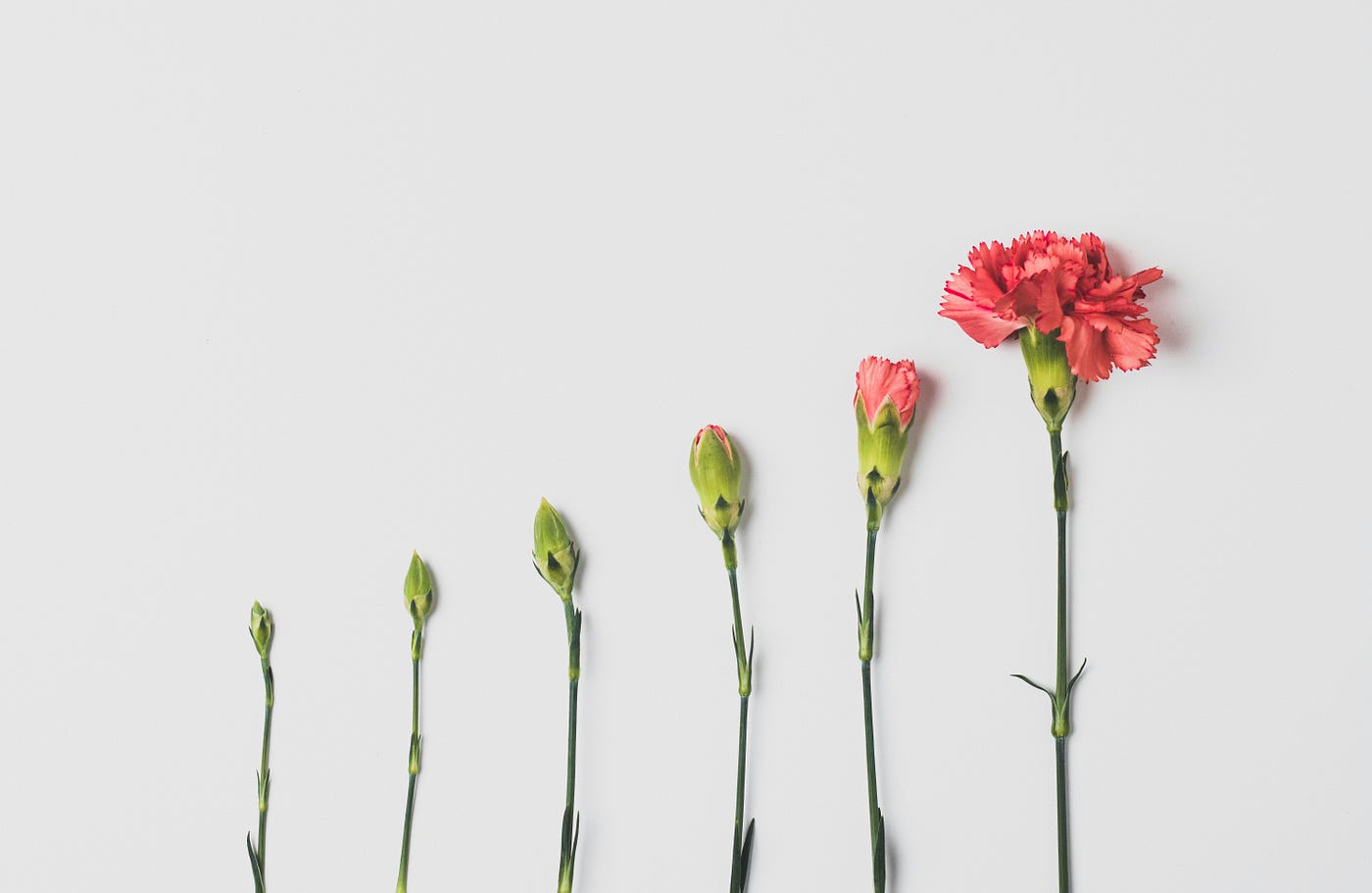 Korean Medicine 101 #39: PMS, Cycle, and Pattern Shifts — Why Symptoms Change Across the Month