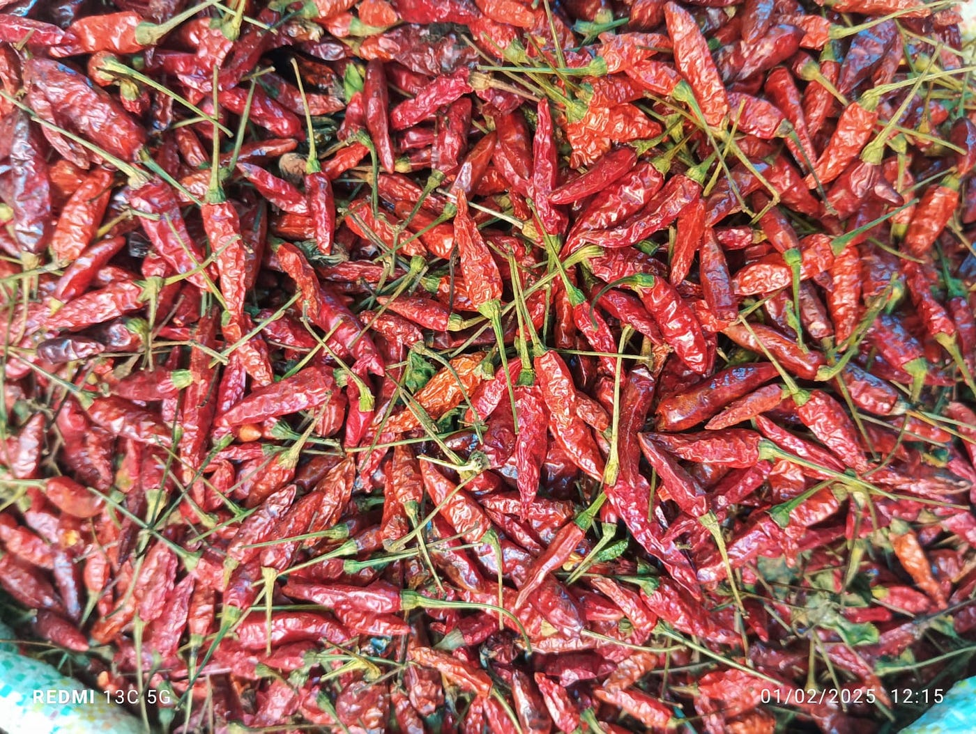 Bird Eye Chilli Price is India what is price of Assam Longi Mirch