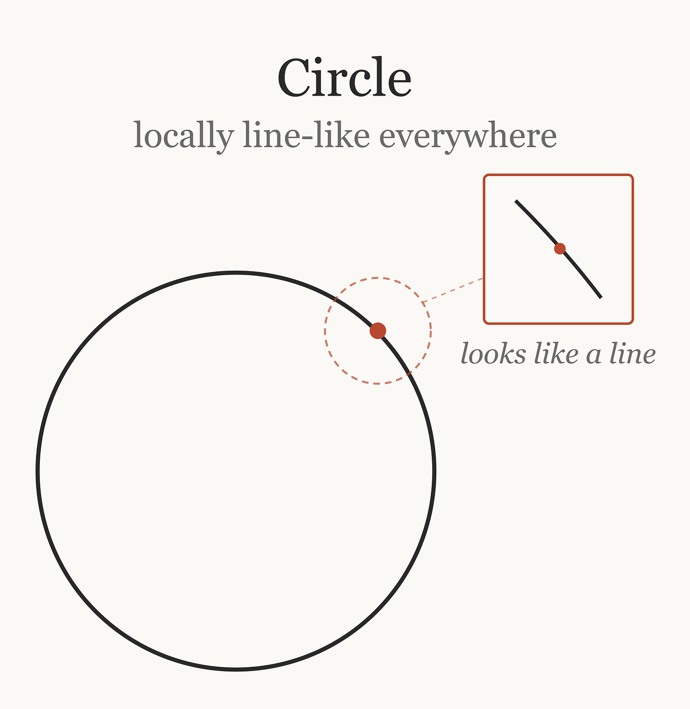 A circle is curved as a whole, but a tiny neighborhood around any point looks like a short line segment. This is the one-dimensional version of the manifold idea.