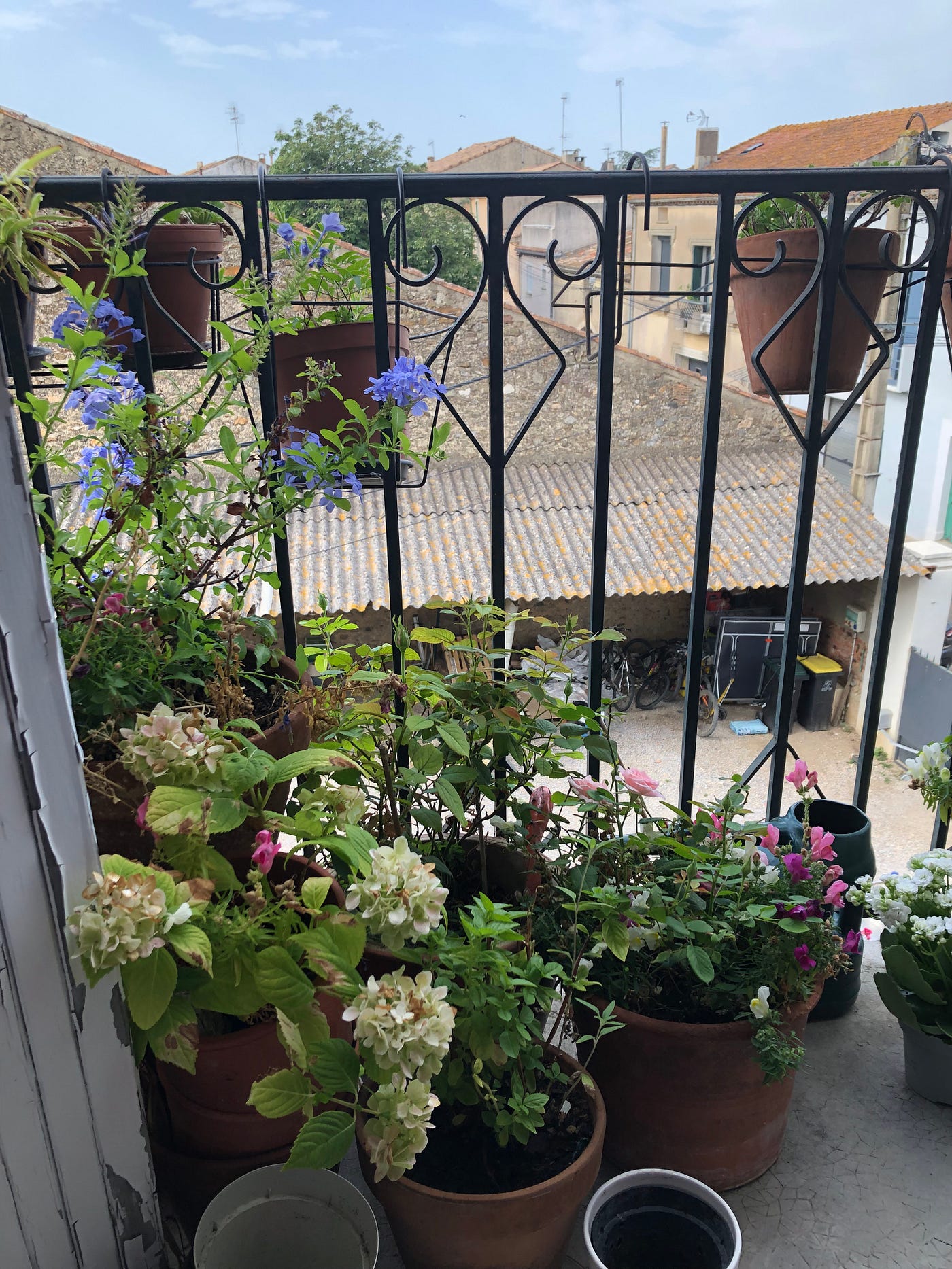 My balcony in summer