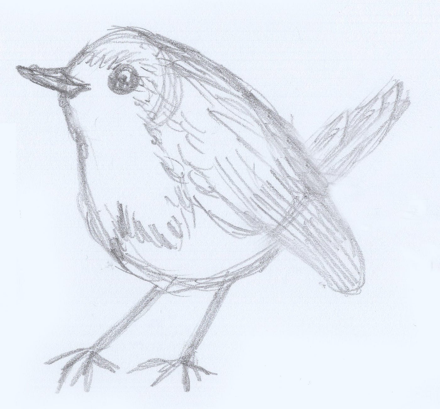 How to Draw a Robin. Still a brown and red blob, but with a… | by Susan  Alison | How to Draw | Medium