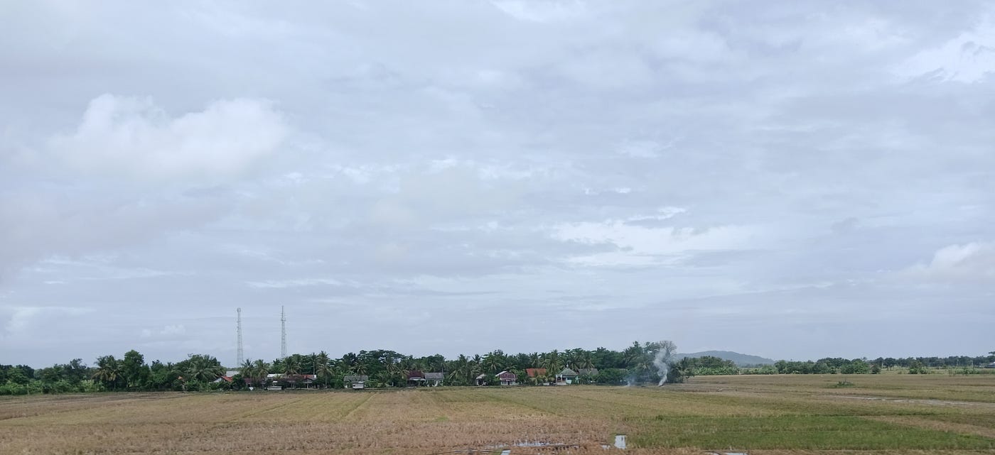 Some wet and dry fields.