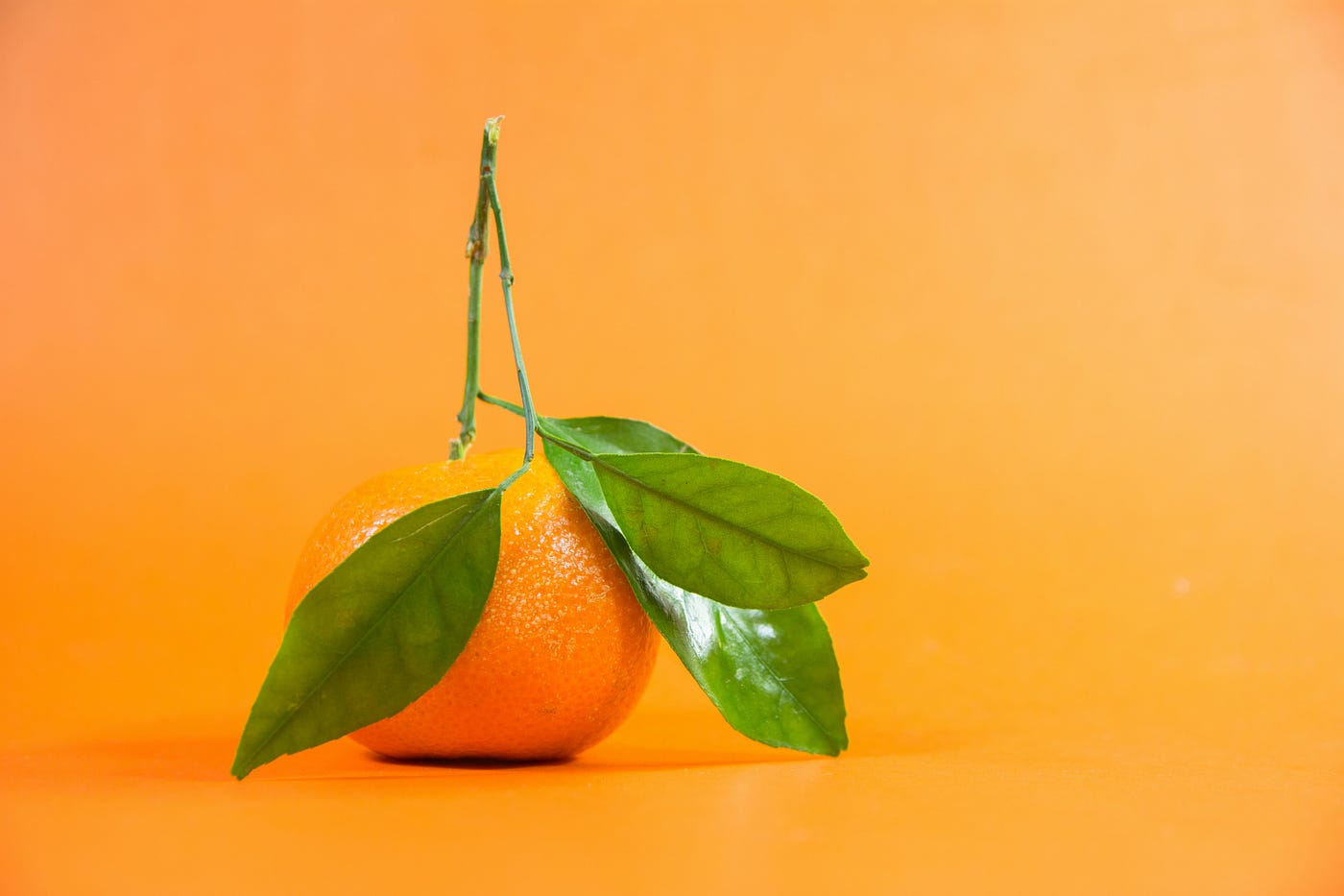 Foto oleh GR Stocks di Unsplash.