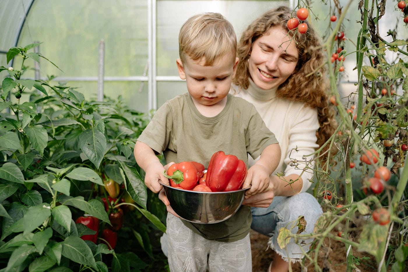How to Become Self-Sufficient at Home in 2026
