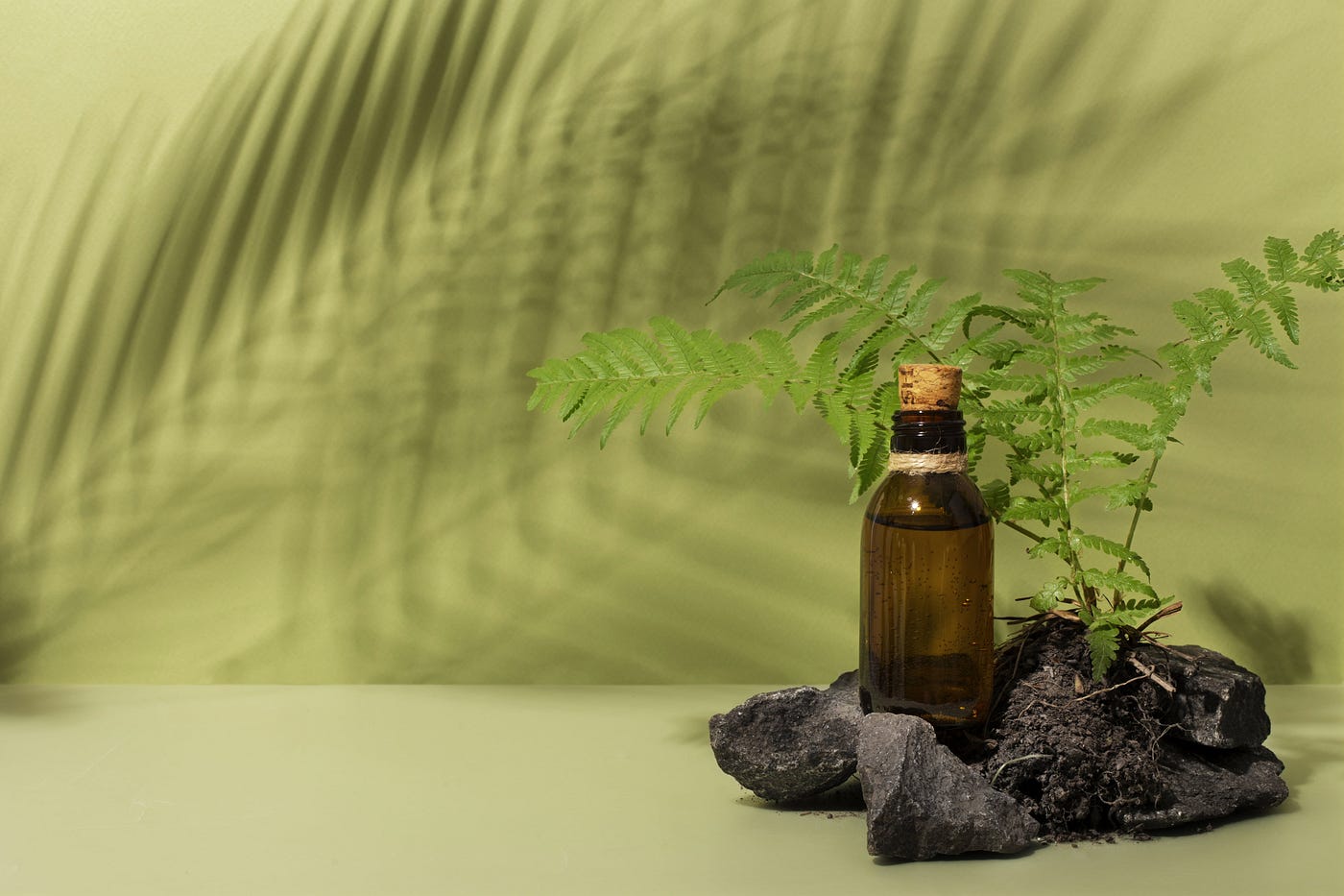 Nimba Patra — Ayurvedic Neem Leaf for Detoxification & Healing