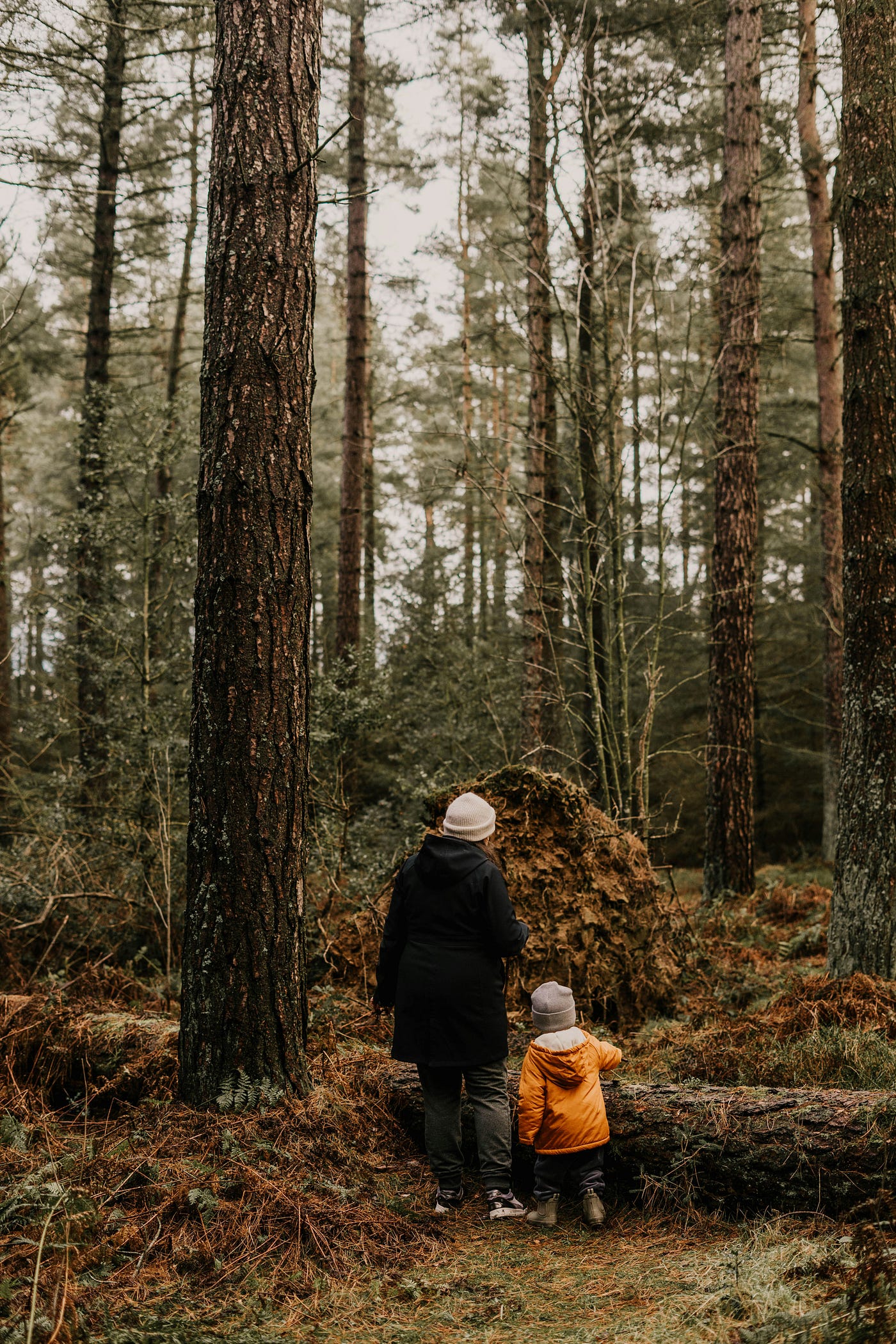 Important skills at school