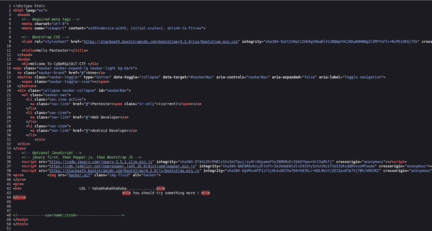 Cybersploit :1 vulnhub walkthrough | by Anshika | Medium