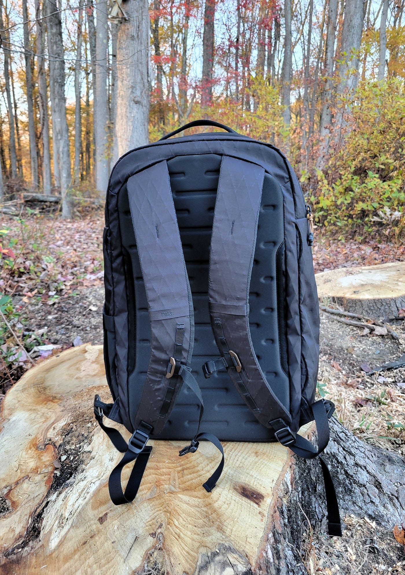duffel bag patagonia 55l Patagonia - Black Hole Duffel 55L main image 1
