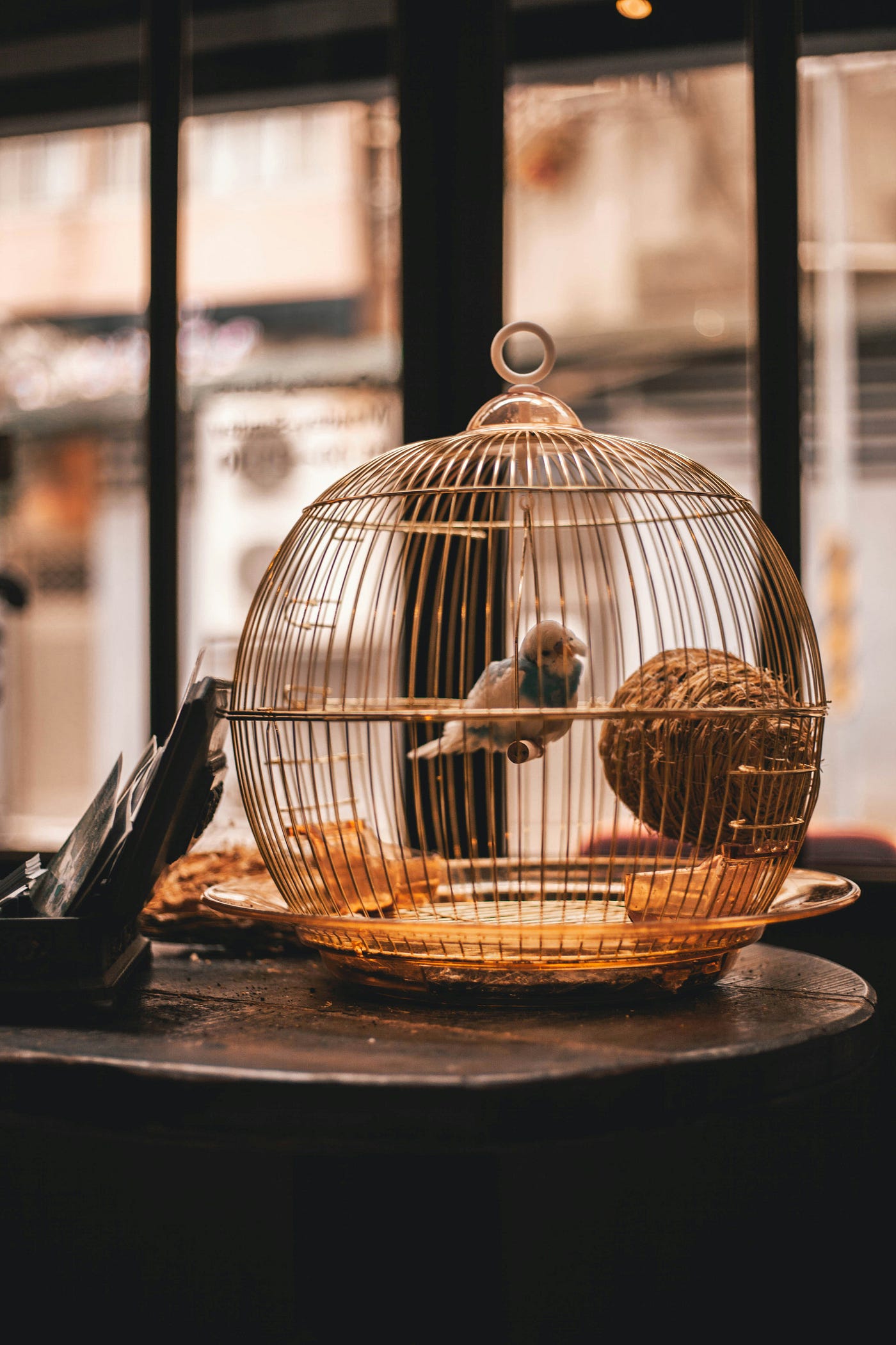 Tradition, The Comfortable Cage