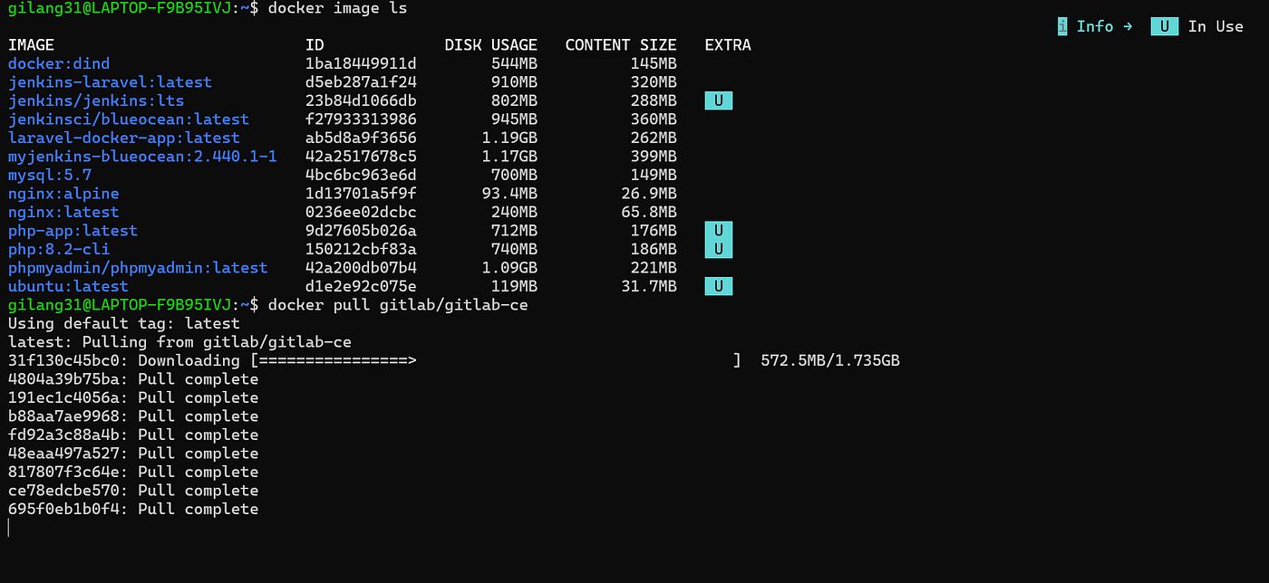 Install dan Konfigurasi Gitlab Docker.