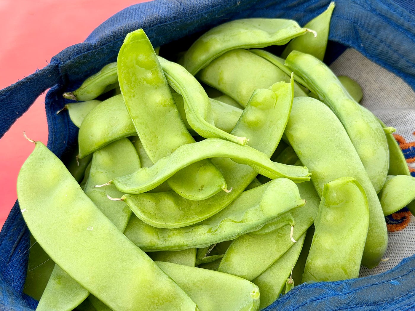 The Snap Peas are Thriving/Autor Photos
