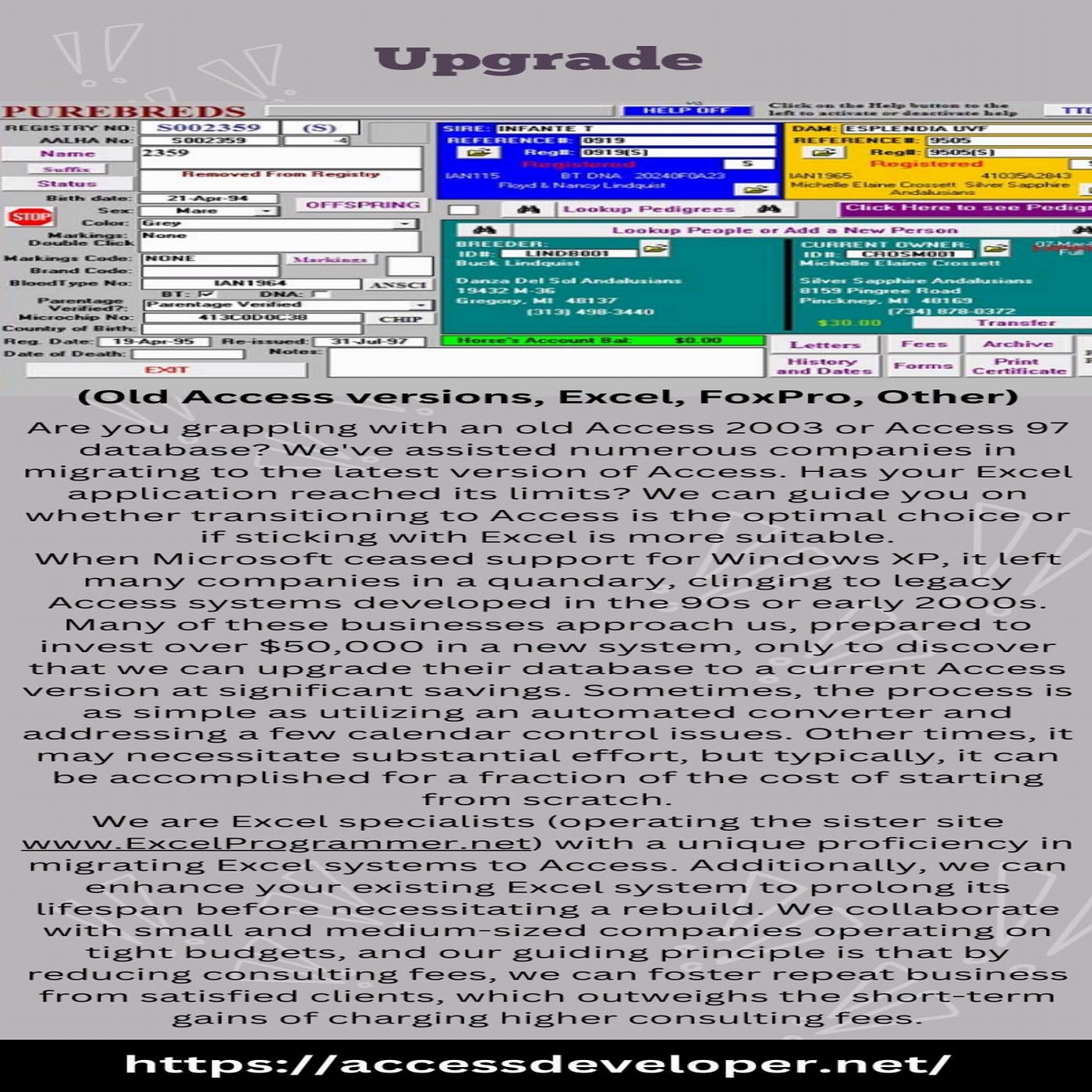 MS Access Consultant