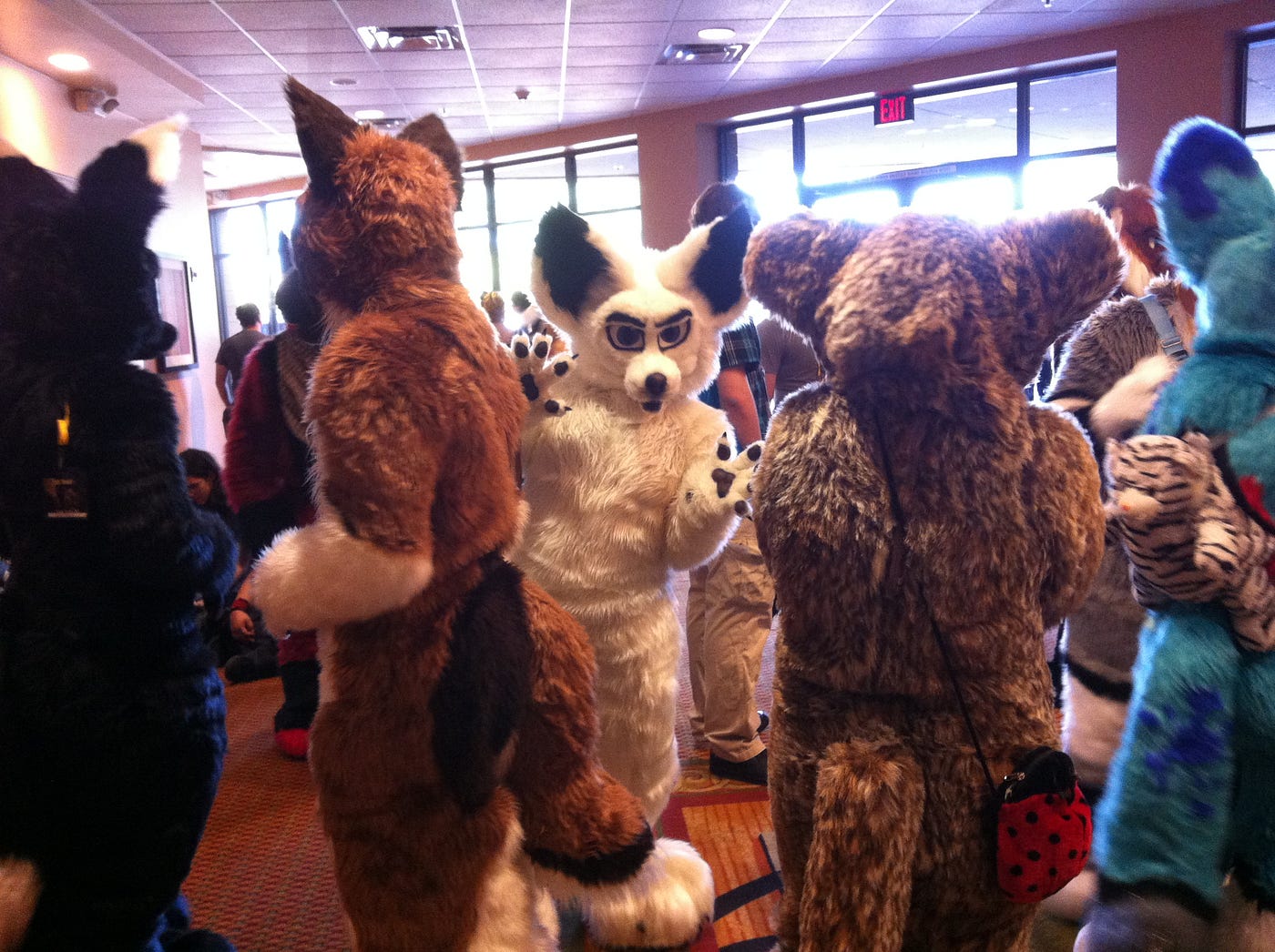 Fursuit mating: Where fantasy meets reality