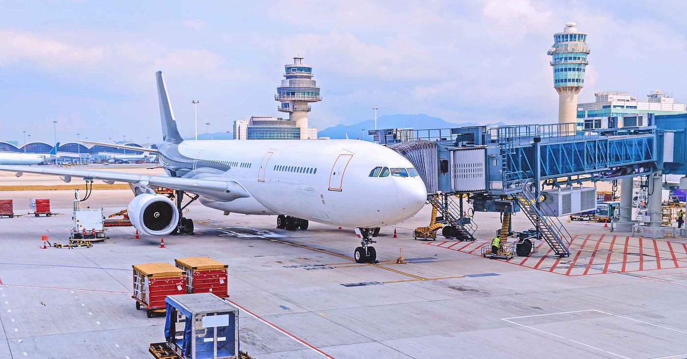 Can You Take Plants on a Plane? Traveling with Houseplants | by Veronica  Hanson | Medium