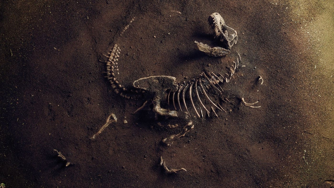 Illustration of a Tyrannosaurus rex skeleton. Powered by Canva