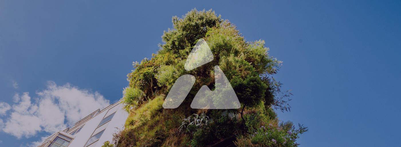Rewilding the Concrete Jungle: Nature-Based Solutions for Urban Biodiversity Revolution