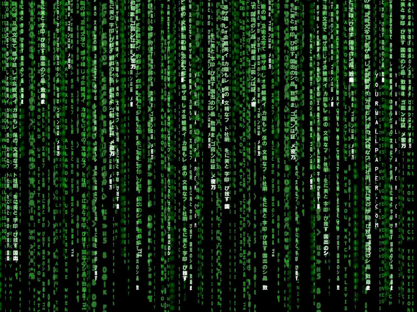 How To Use Bash and Stay Alive. how to automate common simple… | by Rajat S  | Bits and Pieces