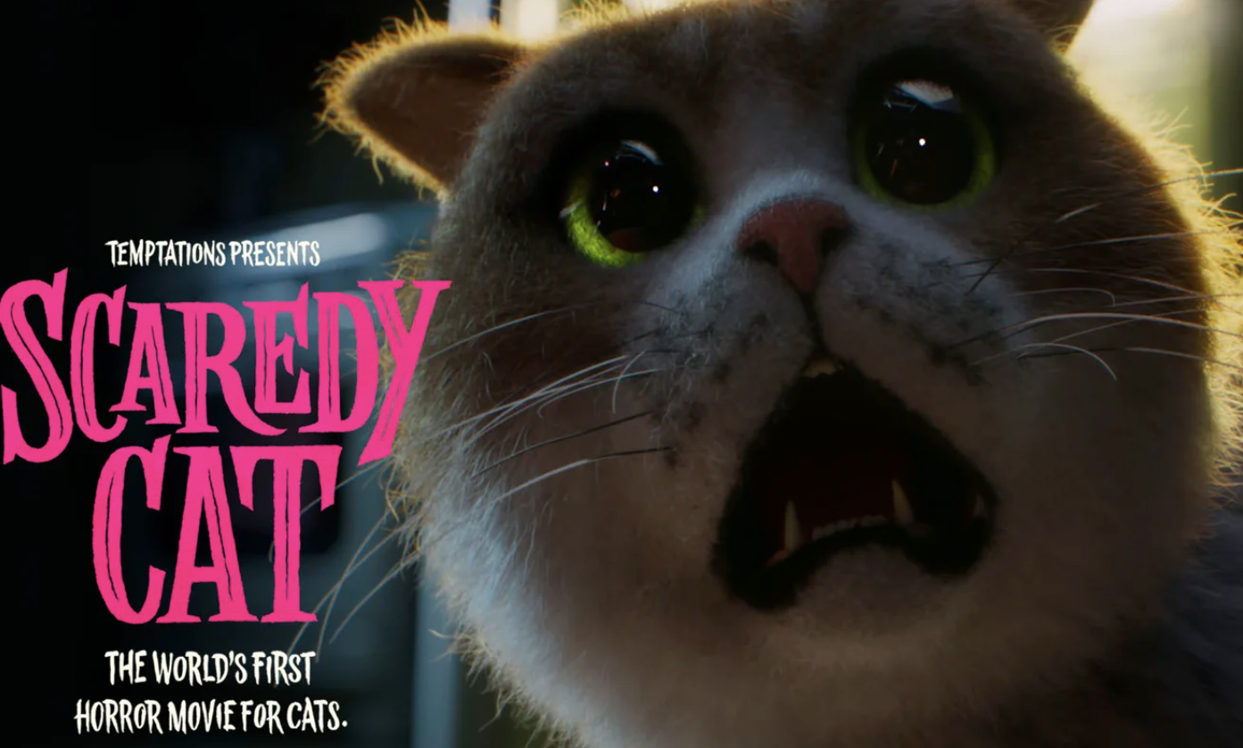This Canadian Brand Launched the First-Ever Funny Scary Movie for Cats, by  Victoria Kurichenko