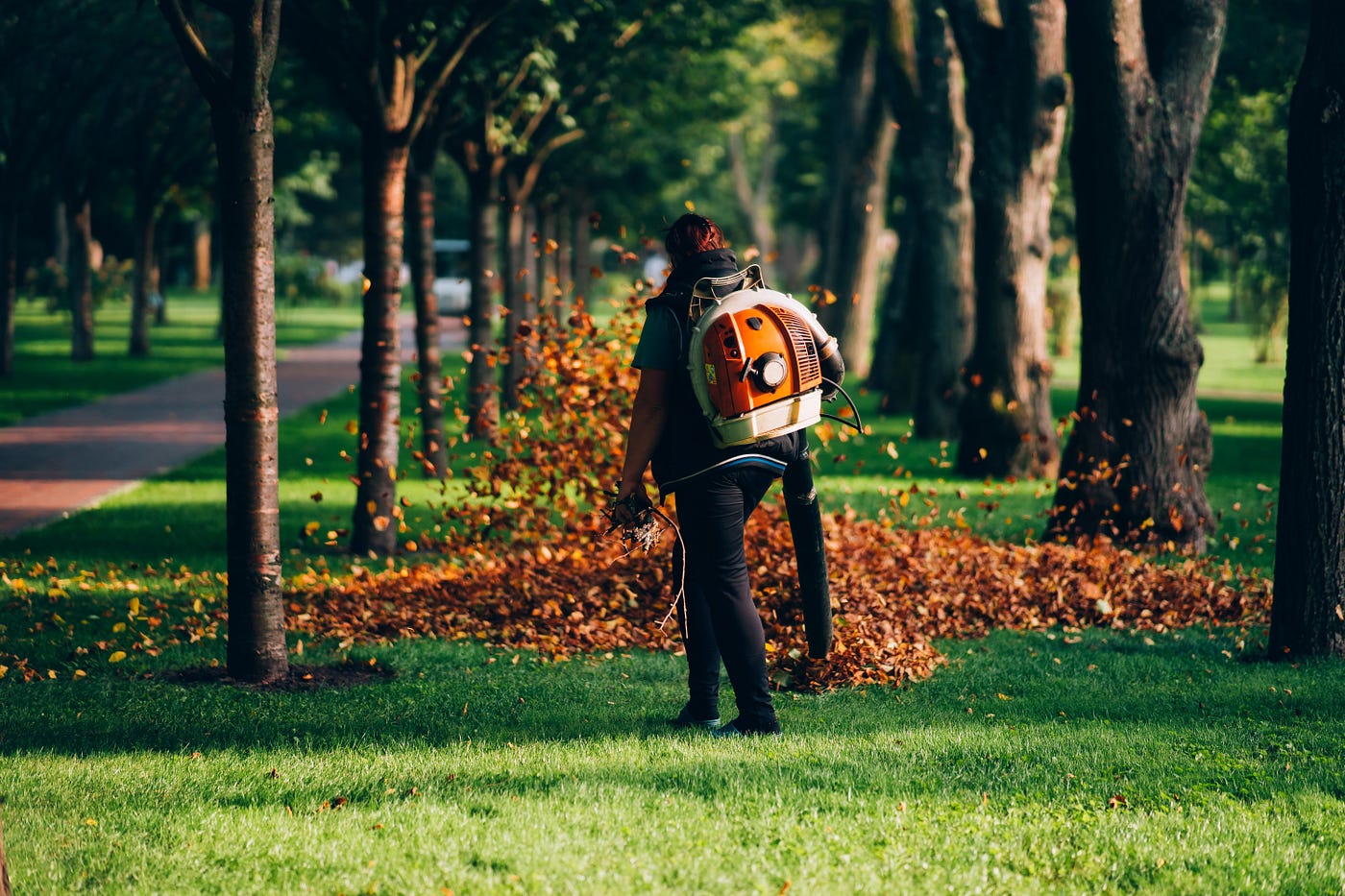 Leaf Blower Benefits: Top Reasons to Invest