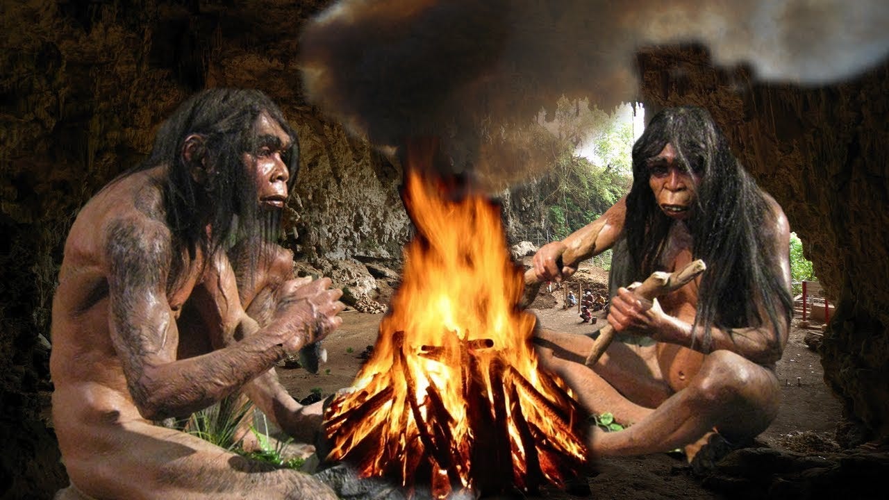 What the invention of fire tells us about AI (video) | by All Turtles | All  Turtles