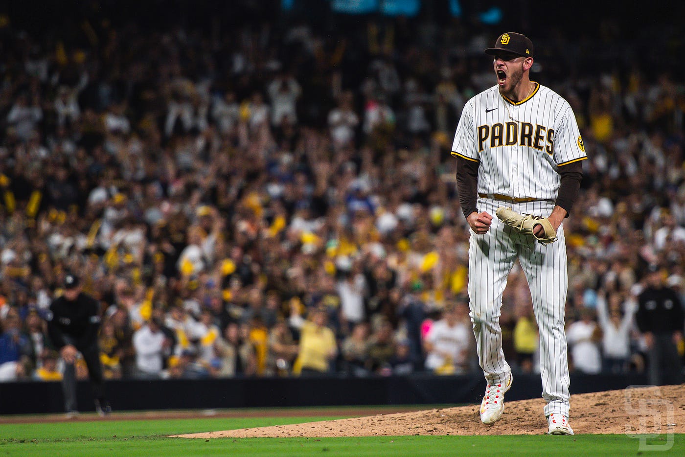 Padres Pics: Padres defeat Dodgers to move onto NLCS - FriarWire