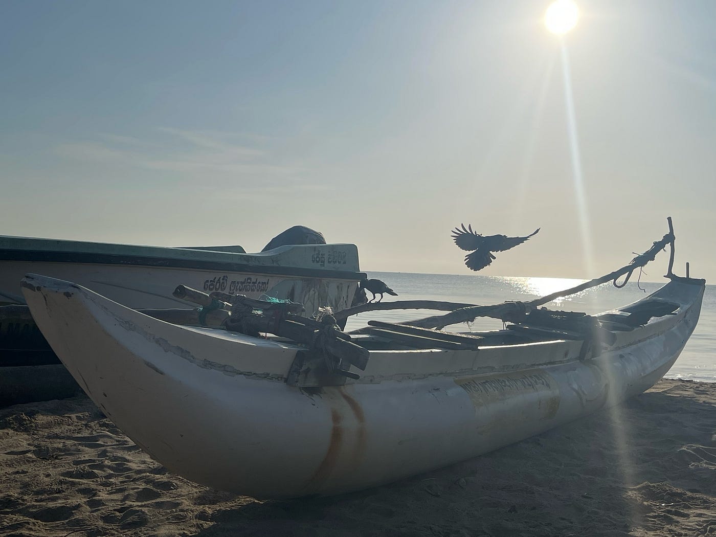 Un cuervo aterriza en un bote pesquero. Foto tomada en una playa de la costa este de Sri Lanka / Andrés Pineda.