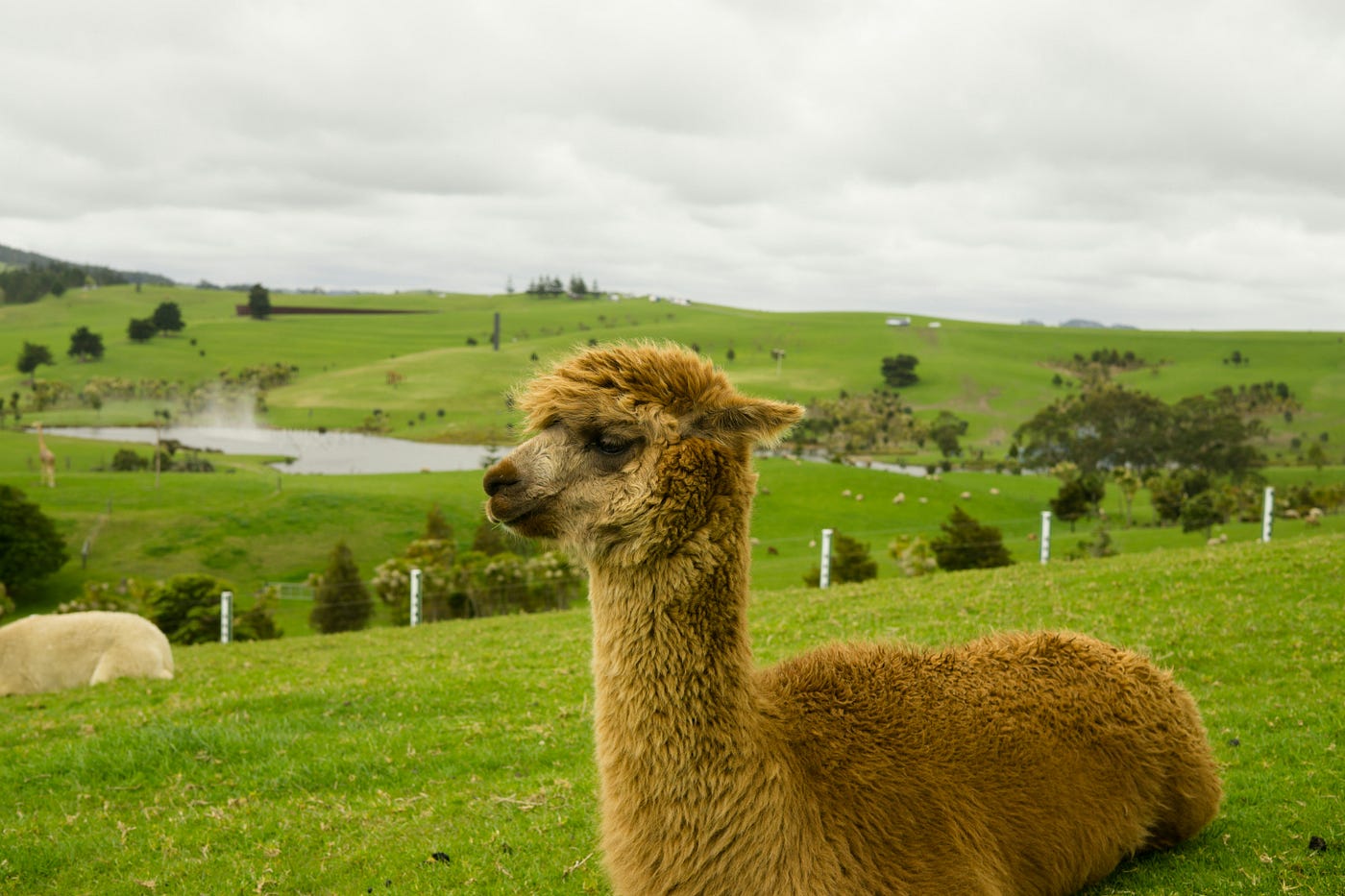 Building a Multi-Document AI Research Assistant with LlamaIndex