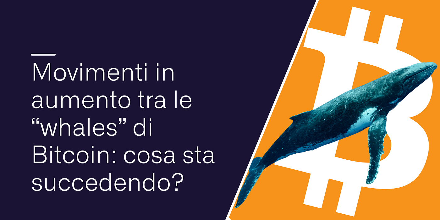 Movimenti in aumento tra le “whales” di Bitcoin: cosa sta succedendo? | by  Conio Team | Conio Blog