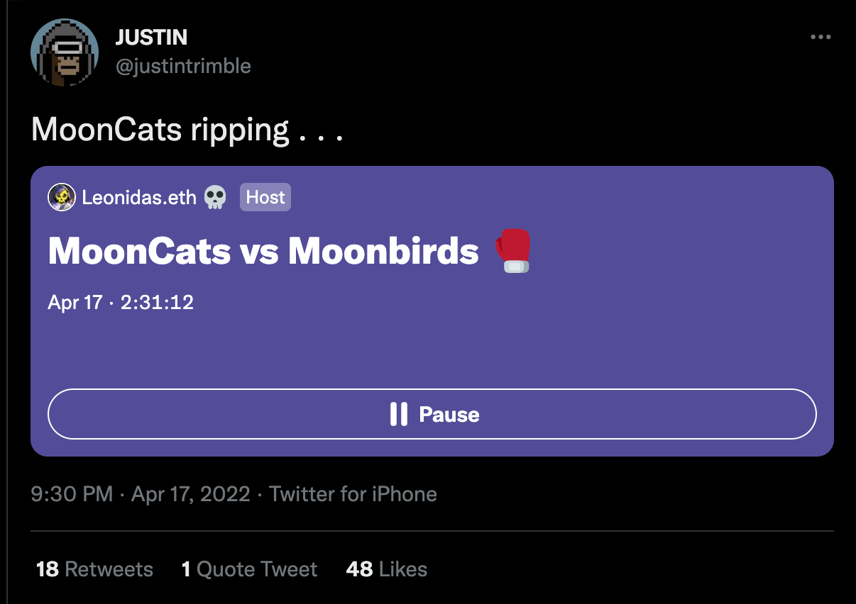 MoonCats IP Acquisition Rumors. June 17th marks two months since the… | by  jake gallen | Medium