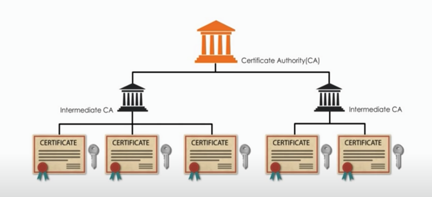 certificate chain verification
