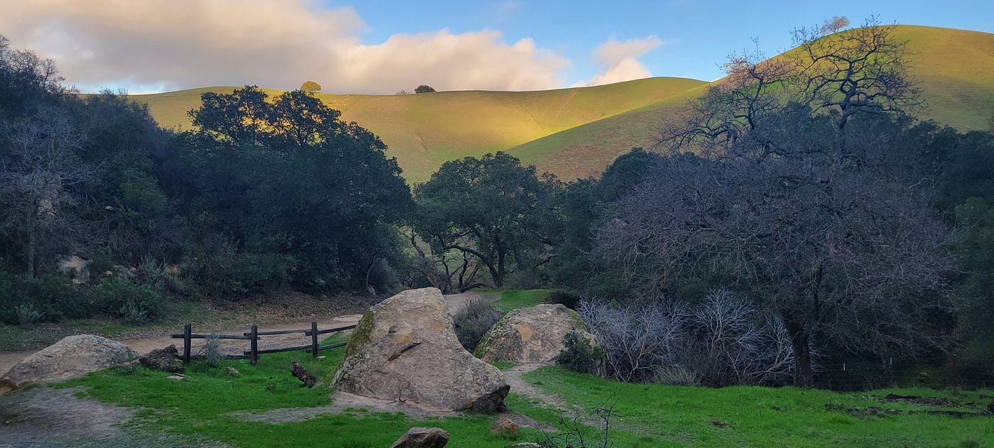 Somewhere on the trail