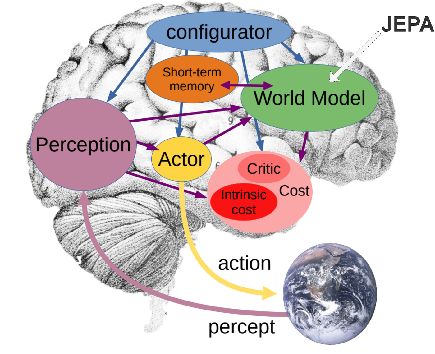 Critical review of LeCun's Introductory JEPA paper | Medium