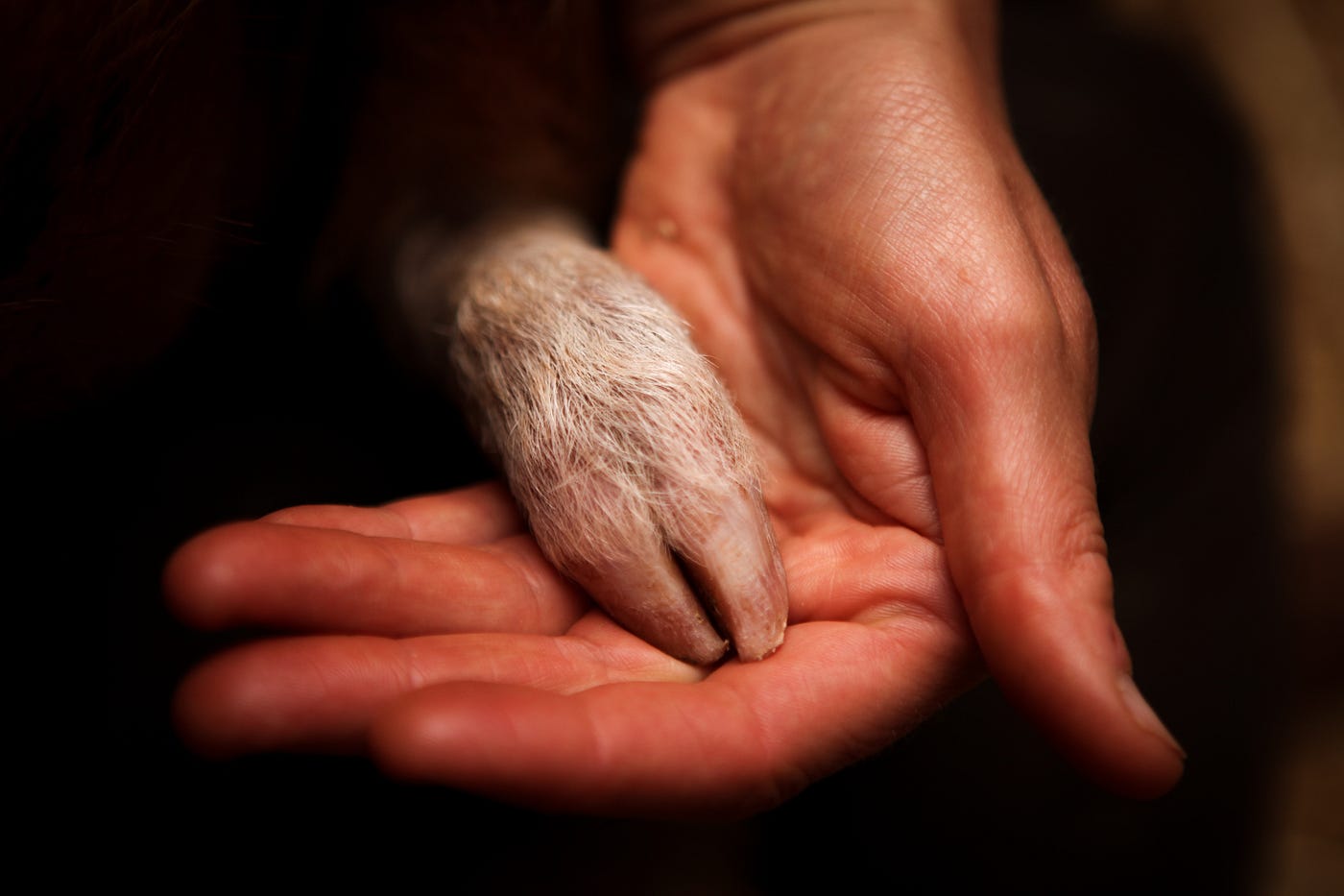 The Kindness Contradiction