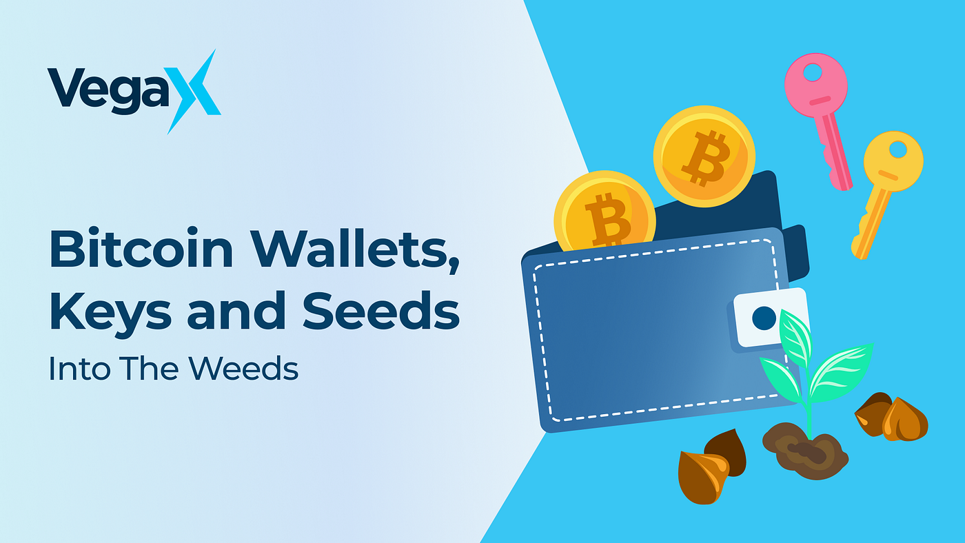 Into the Weeds: Bitcoin Wallets, Keys, and Seeds — VegaX Research Report |  by VegaX Holdings | Medium