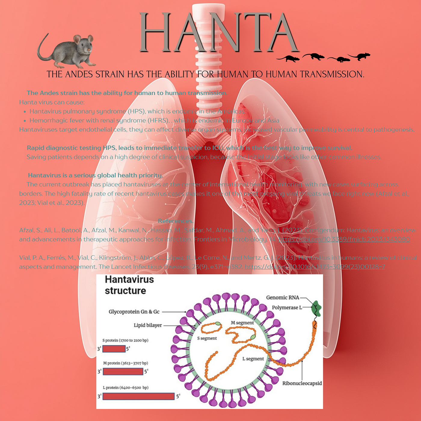 Hanta virus