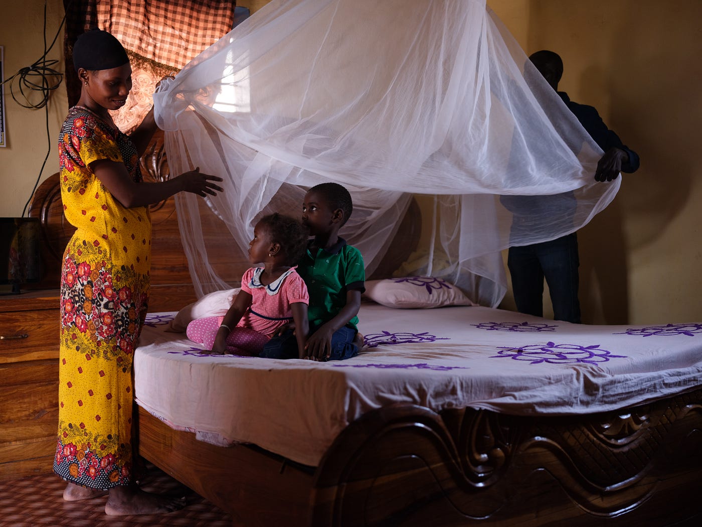 Two Billion Mosquito Nets. The global community reaches a new… | by USAID |  U.S. Agency for International Development | Medium
