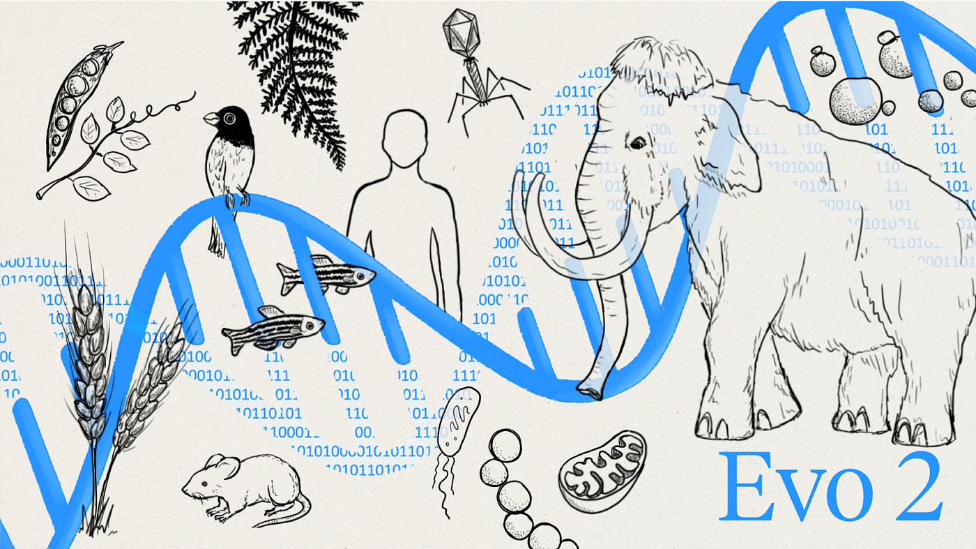 Evo2 Demystified ~ The Ultimate Technical Guide to Genomic